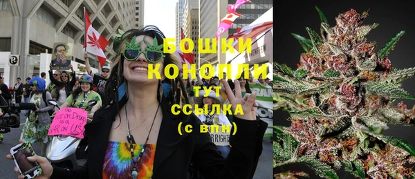 ПСИЛОЦИБИНОВЫЕ ГРИБЫ Горнозаводск